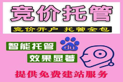 电商平台信息流广告的创意与优化：成功案例分析